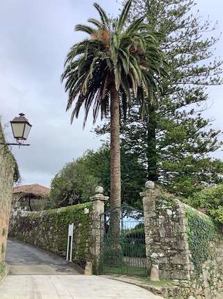 Fechas, información, programa, cartel, imágenes, mapa y ubicación de Pazo do Couto  en  A Pobra do Caramiñal