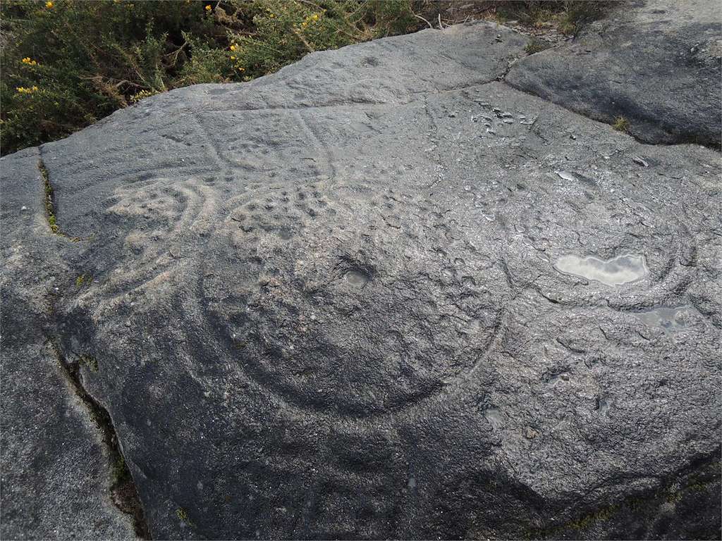 Pedra das Teixiñas en Pazos de Borbén