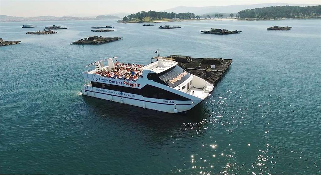 Pelegrín en O Grove