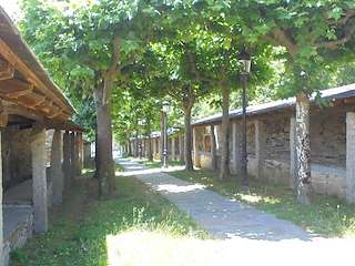 Pendellos de Castroverde