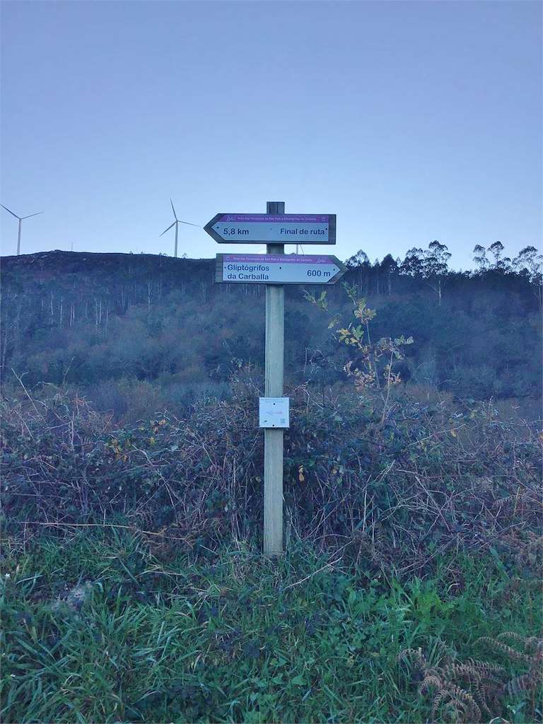 Petroglifo Carballa da Cova en Outes