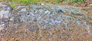 Fechas, información, programa, cartel, imágenes, mapa y ubicación de Petróglifo da Insuiña  en  Baños de Molgas