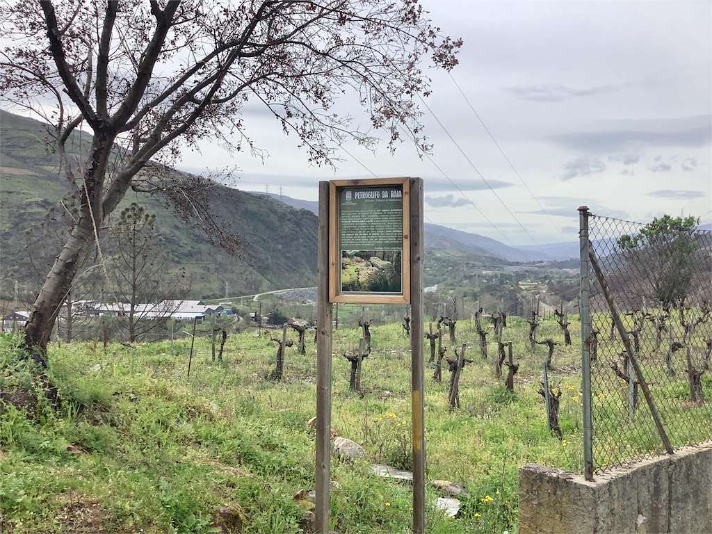 Petroglifo da Raia en O Barco de Valdeorras