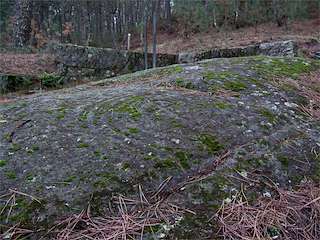 Petroglifo de Fragoselo o A Pedra Moura