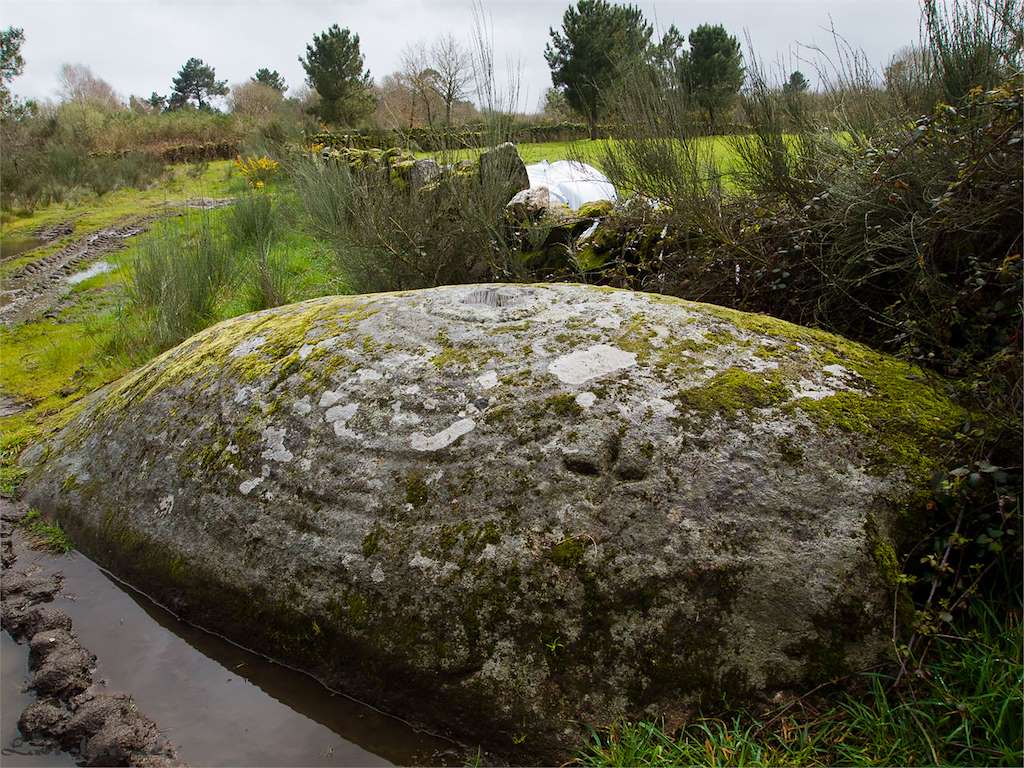 Petroglifo do Bolo en Maside