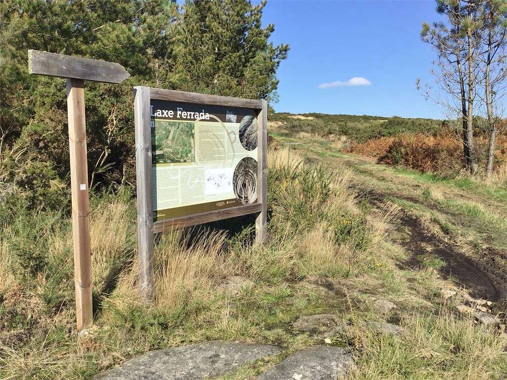 Petroglifo Laxe Ferrada en Antas de Ulla