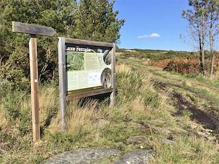 Fechas, información, programa, cartel, imágenes, mapa y ubicación de Petroglifo Laxe Ferrada  en  Antas de Ulla