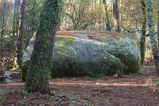 Fechas, información, programa, cartel, imágenes, mapa y ubicación de Petroglifo Pedra das Cabras (2022)  en  Ribeira