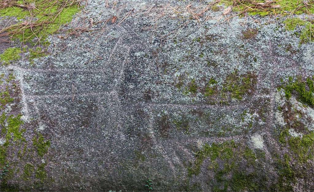 Petroglifo Pedra das Cabras en Ribeira