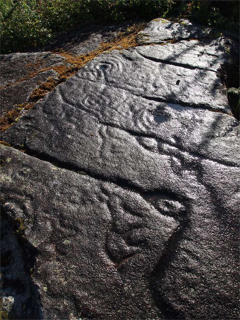 Petroglifo Pedra de San Francisco  en Campo Lameiro