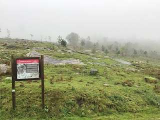 Petroglifos de A Cabreira