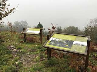 Petroglifos de A Coutada