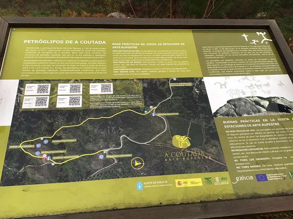 Petroglifos de A Coutada en As Neves