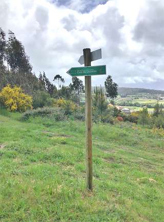 Fechas, información, programa, cartel, imágenes, mapa y ubicación de Petroglifos do Prado Da Cruz  en  Vimianzo