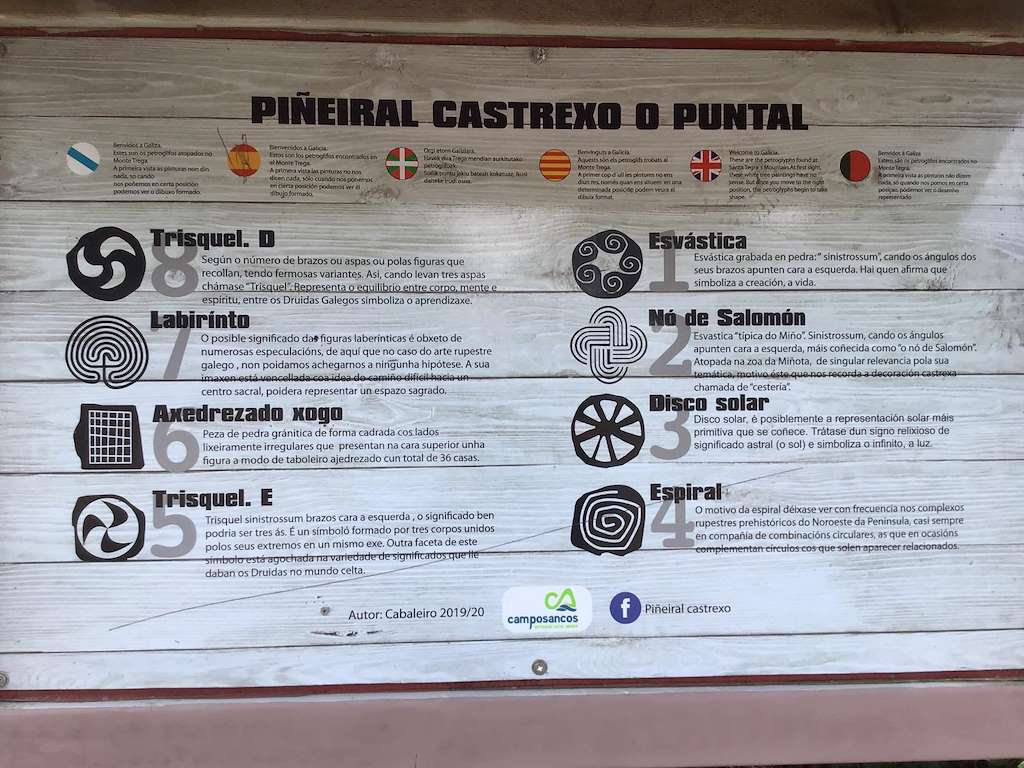 Piñeiral Castrexo do Puntal en A Guarda