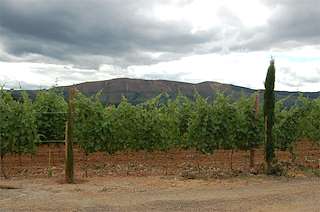 Fechas, información, programa, cartel, imágenes, mapa y ubicación de Pico de Meda  en  Monterrei