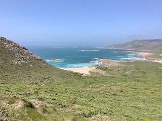 Fechas, información, programa, cartel, imágenes, mapa y ubicación de Playa A Pedrosa  en  Camariñas