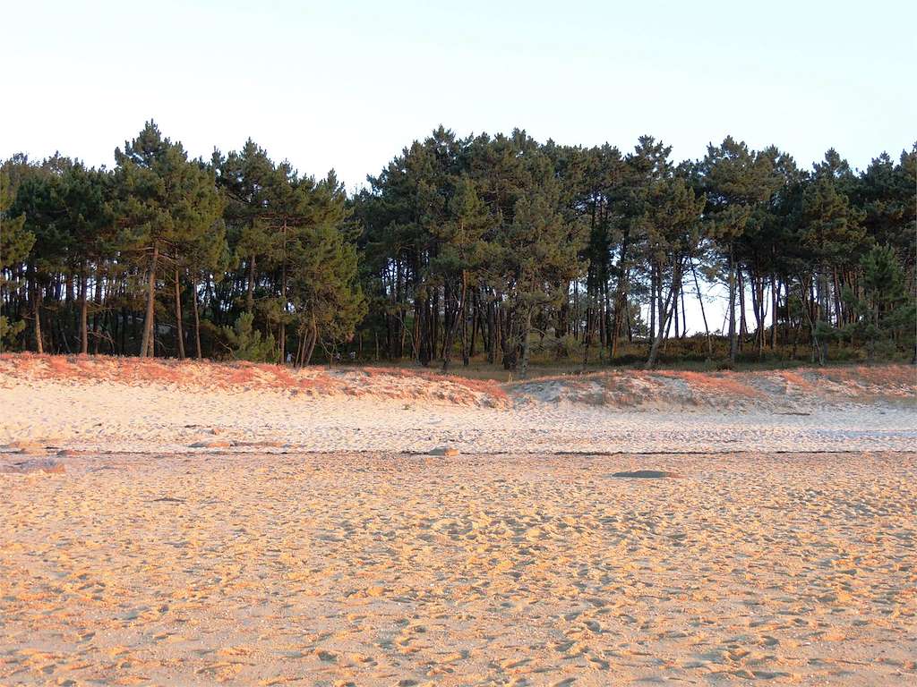 Playa Area Grande en O Grove