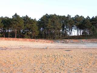 Fechas, información, programa, cartel, imágenes, mapa y ubicación de Playa Area Grande  en  O Grove