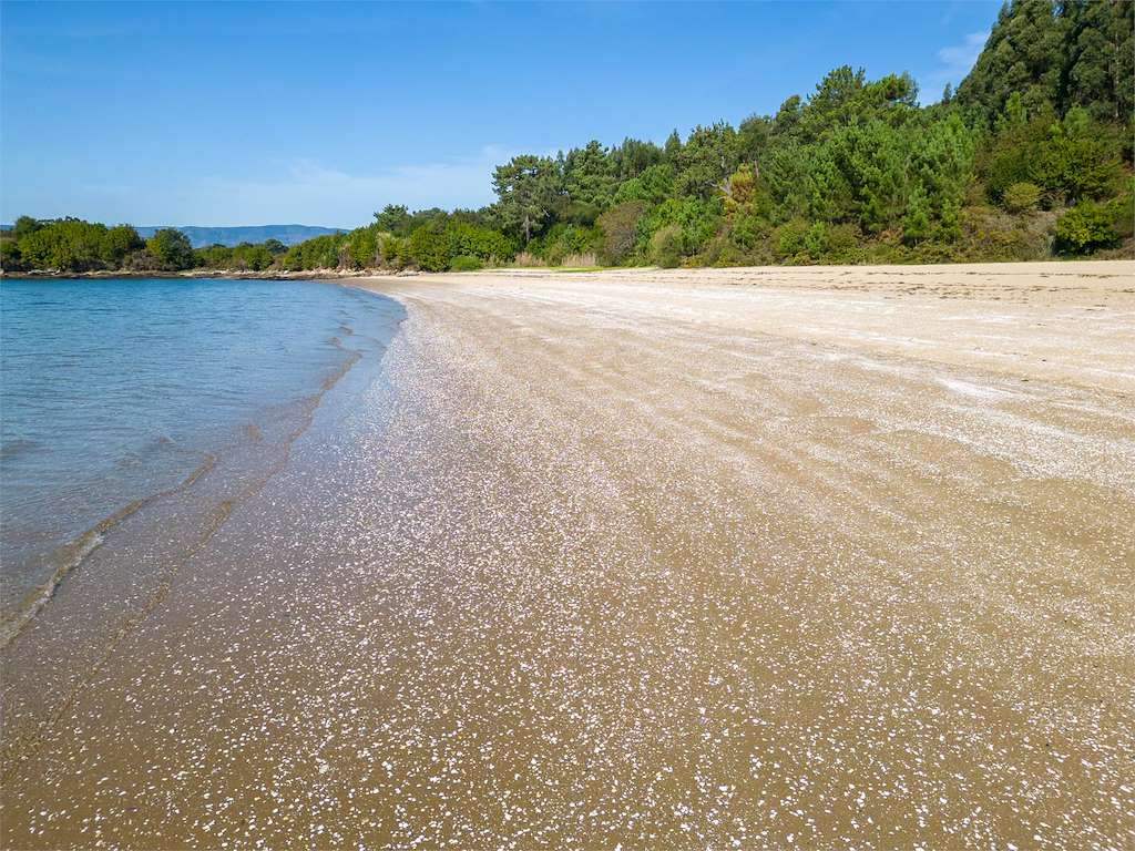Playa As Cunchas en Rianxo
