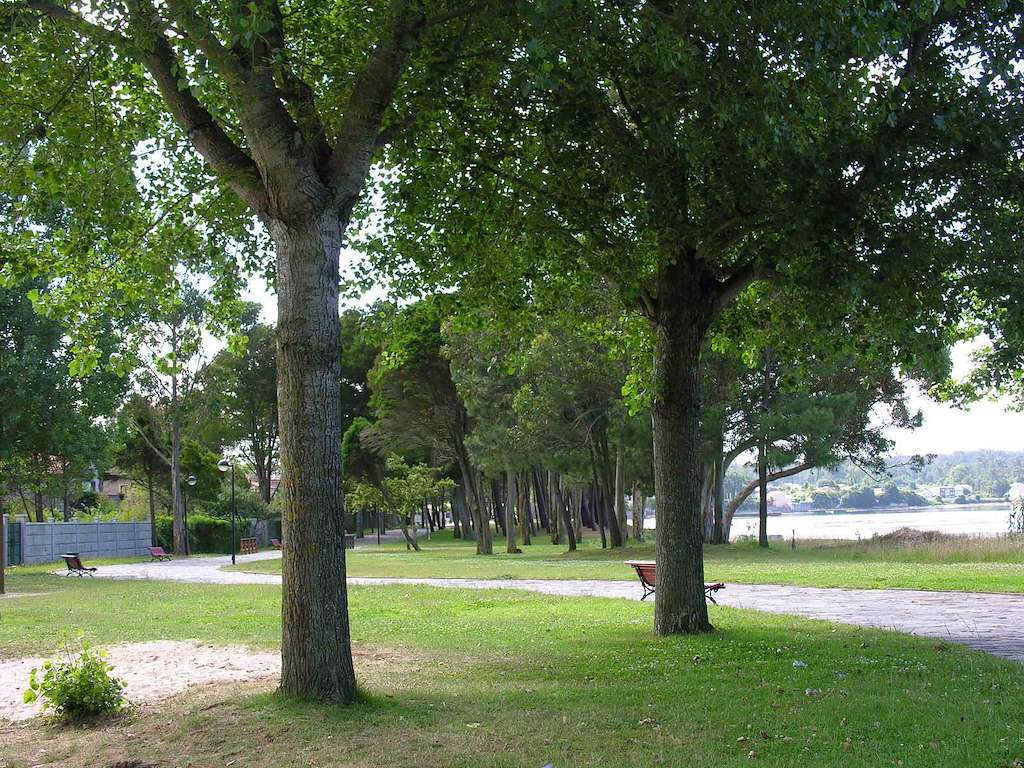 Playa Barraña - Xardín en Boiro