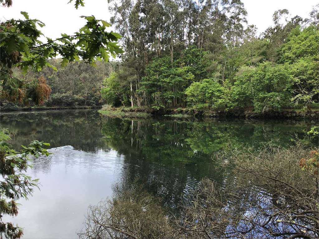 Playa Candán en Soutomaior