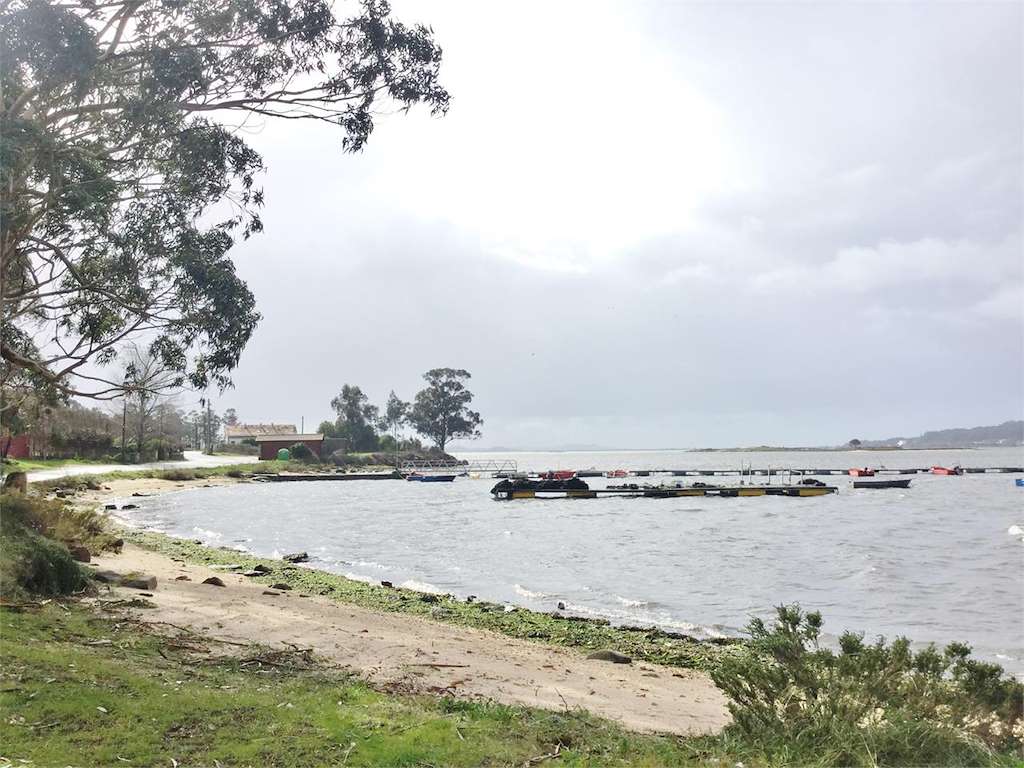Playa Con de Sido en Cambados