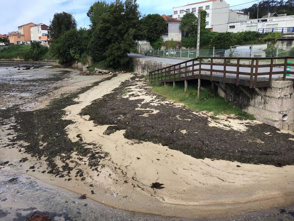Playa de A Seca en Poio