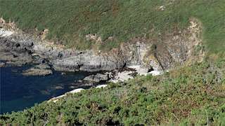 Playa de Fedorento