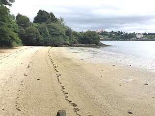 Fechas, información, programa, cartel, imágenes, mapa y ubicación de Playa de Os Olmos - A Cabana  en  Ferrol