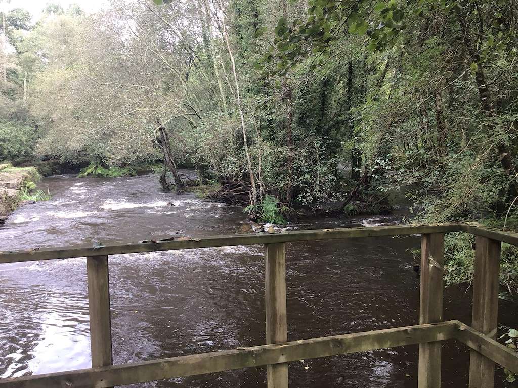 Playa Fluvial de A Presa en Frades