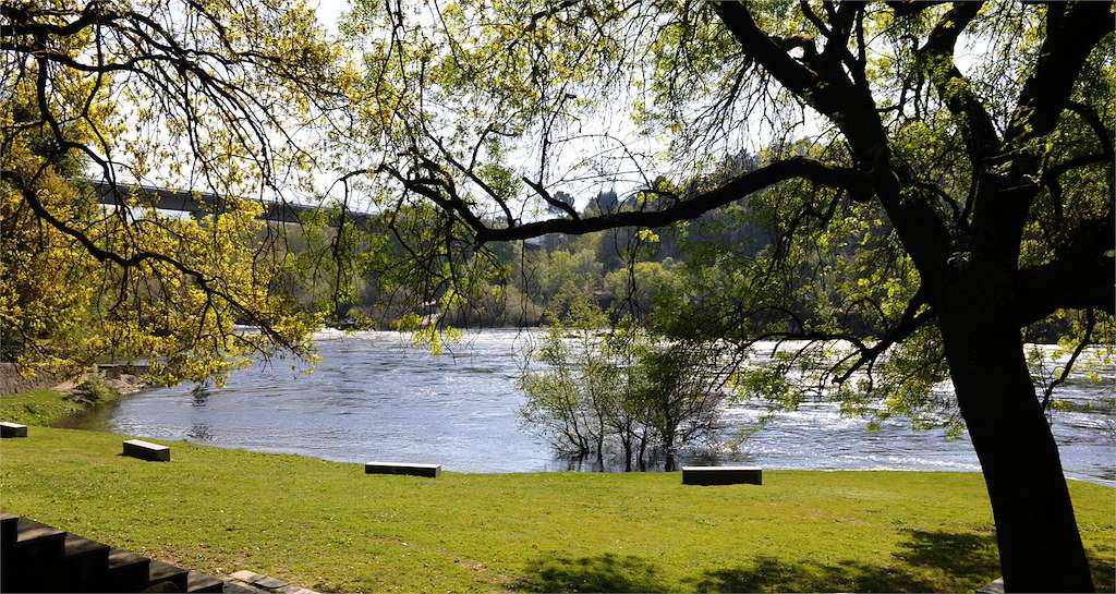 Playa Fluvial de Arbo