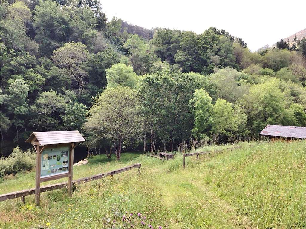 Playa Fluvial y Área Recreativa O Fondón en A Pontenova
