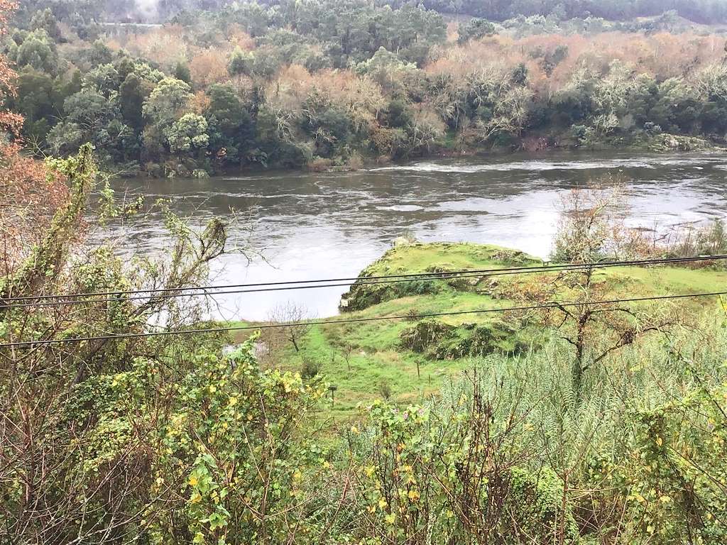 Playa Fluvial y Manantial de Sela en Arbo