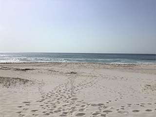 Fechas, información, programa, cartel, imágenes, mapa y ubicación de Playa Lariño  en  Carnota