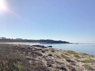 Fechas, información, programa, cartel, imágenes, mapa y ubicación de Playa Mexiloeira  en  O Grove