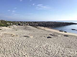 Fechas, información, programa, cartel, imágenes, mapa y ubicación de Playa Penoural (Chouza)  en  Burela