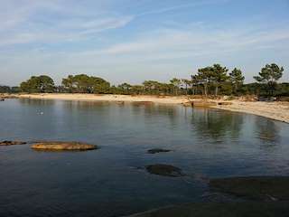 Fechas, información, programa, cartel, imágenes, mapa y ubicación de Playa Petóns  en  A Illa de Arousa