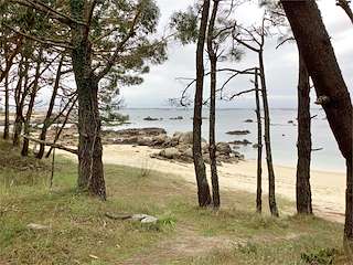 Fechas, información, programa, cartel, imágenes, mapa y ubicación de Playa Piñeirón  en  O Grove