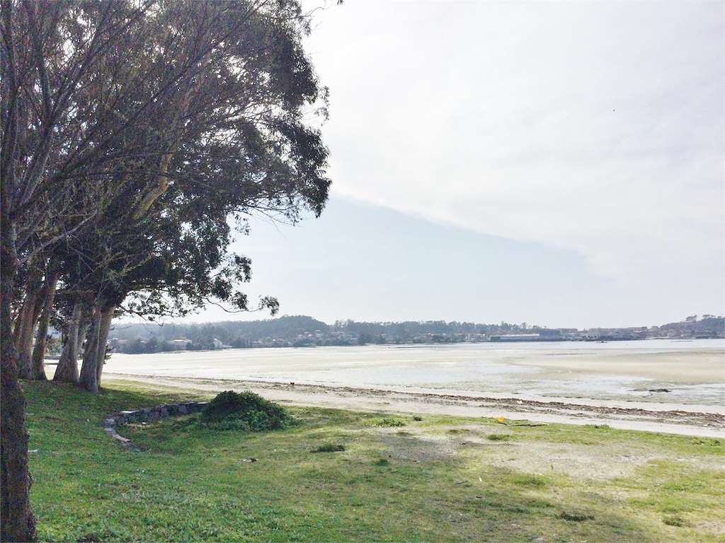 Playa Saltiño - Barraña en Boiro