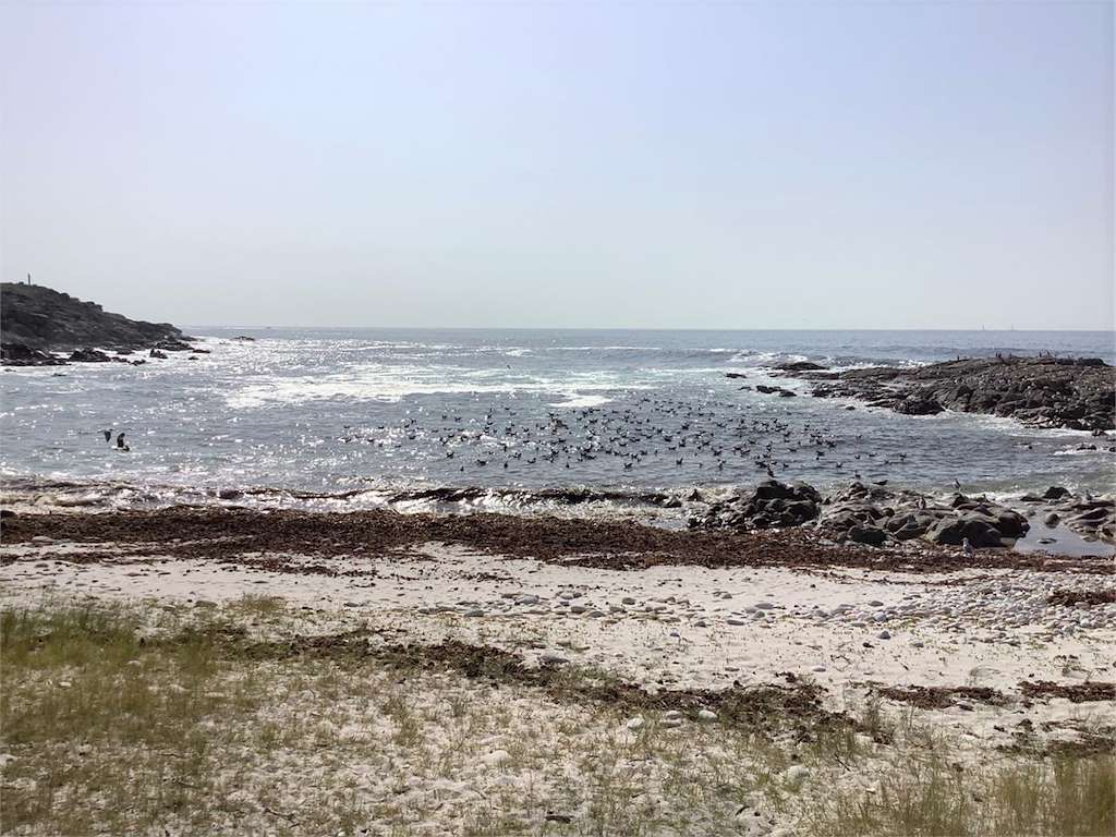 Playa Susiños en Carnota