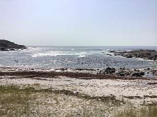 Fechas, información, programa, cartel, imágenes, mapa y ubicación de Playa Susiños  en  Carnota