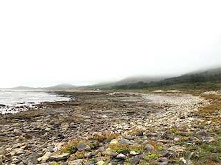 Fechas, información, programa, cartel, imágenes, mapa y ubicación de Playa Xeda  en  Carnota