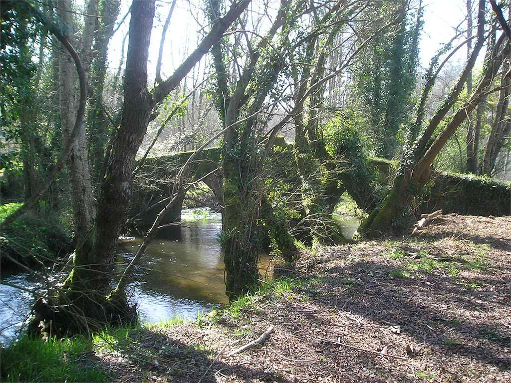 Ponte Busacos en Boqueixón