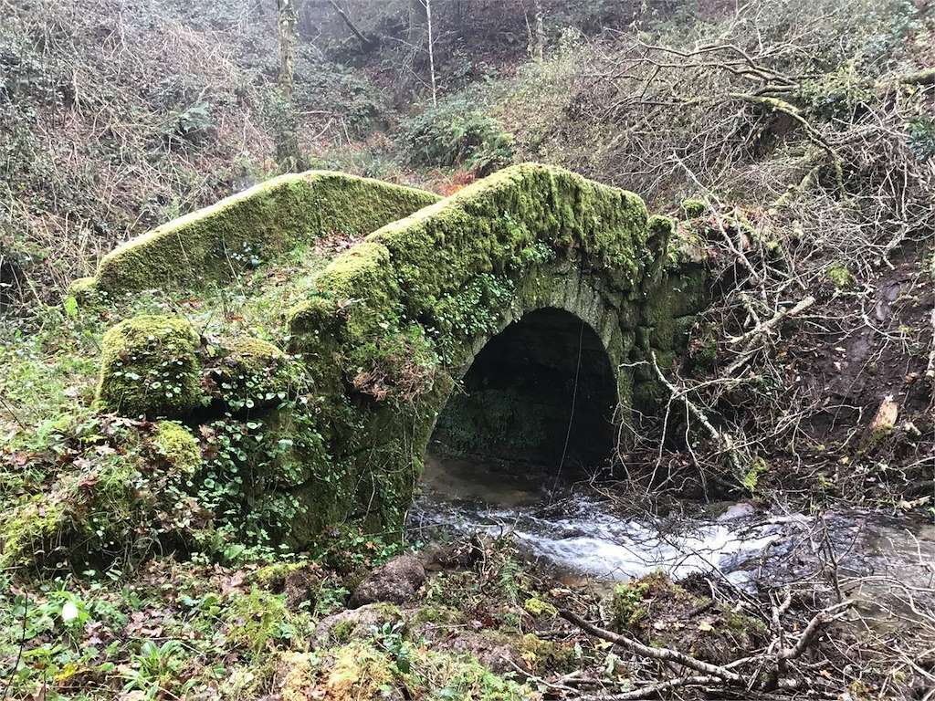 Ponte de Barxelas en Crecente
