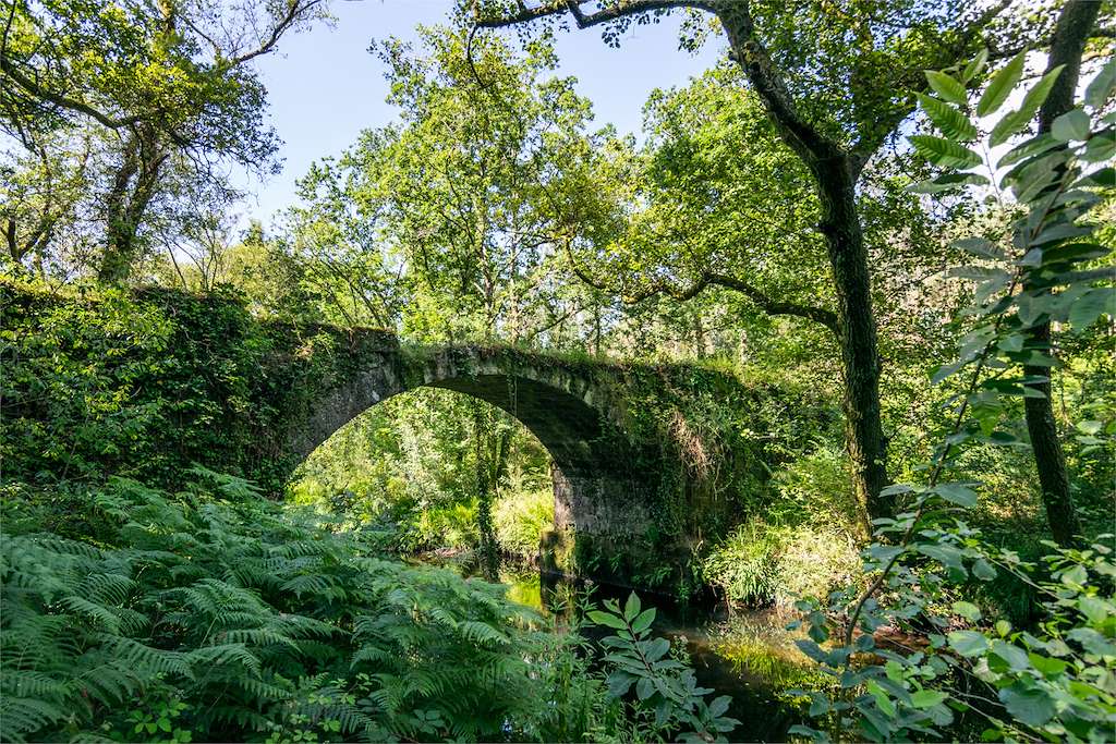 Ponte de Nieto en Cuntis