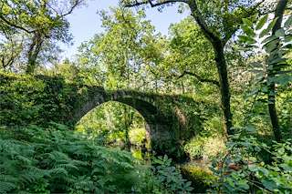 Fechas, información, programa, cartel, imágenes, mapa y ubicación de Ponte de Nieto  en  Cuntis