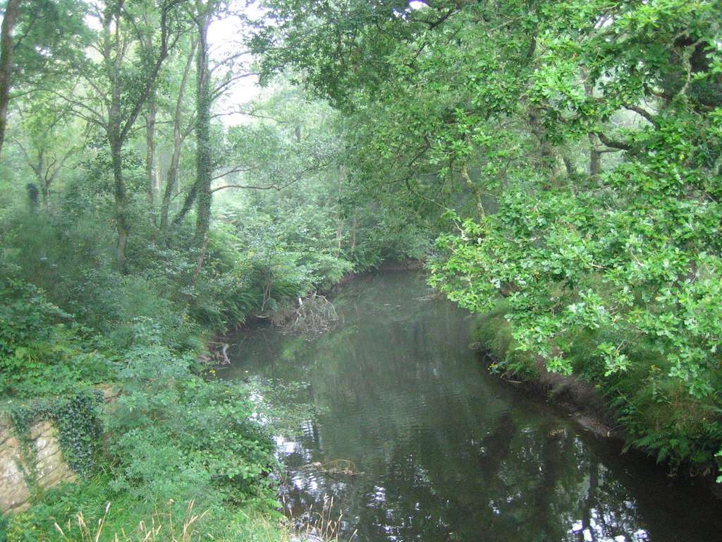 Ponte Vella de Martiñán en Vilalba