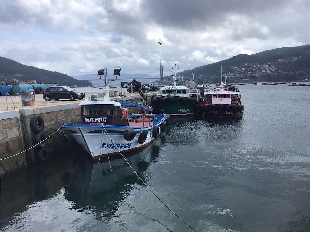 Porto de Domaio en Moaña