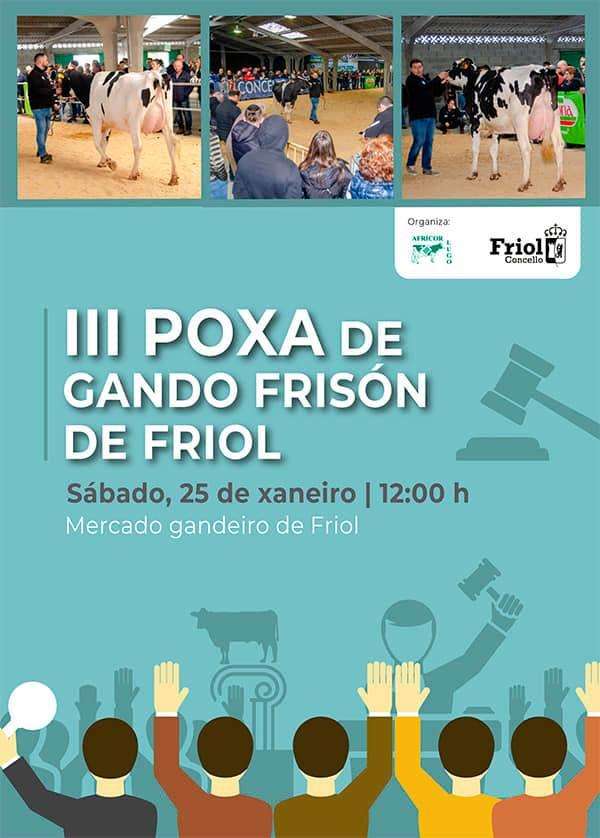 III Poxa de Gando Frisón en Friol